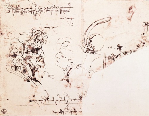 xshayarsha: Study Sheet by Leonardo da Vinci