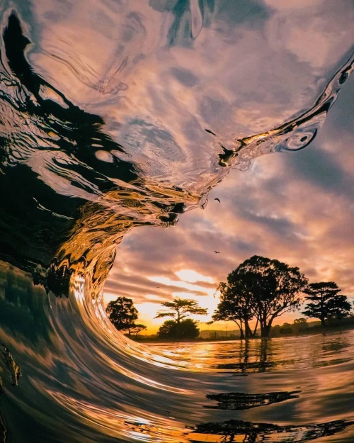 Photo by @sammy_garcia A wave in the sunset. # #Nature #Sunset #Wave #Place #Planet #Travel #Worlds