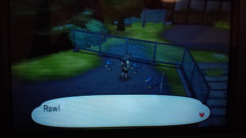 mwuuh: mwuuh: These three murkrow are singing Lady Gaga, I swear to christ… I want everyone t