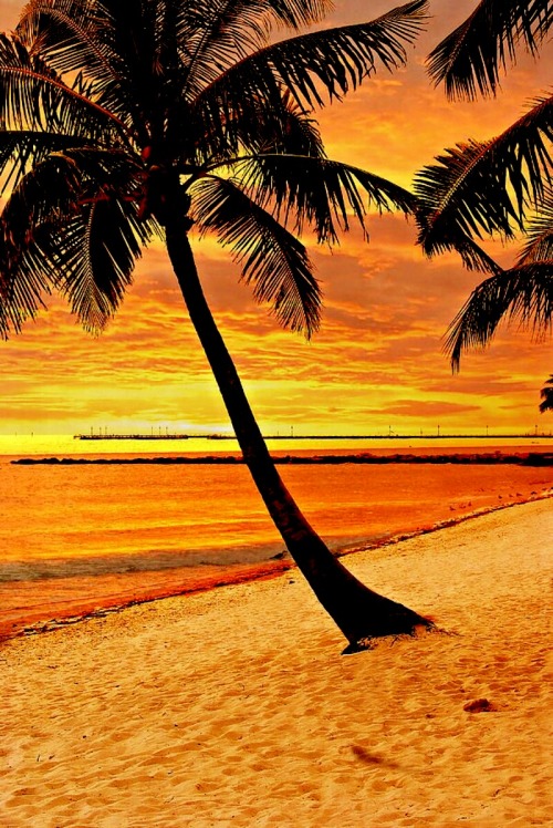Bom dia!