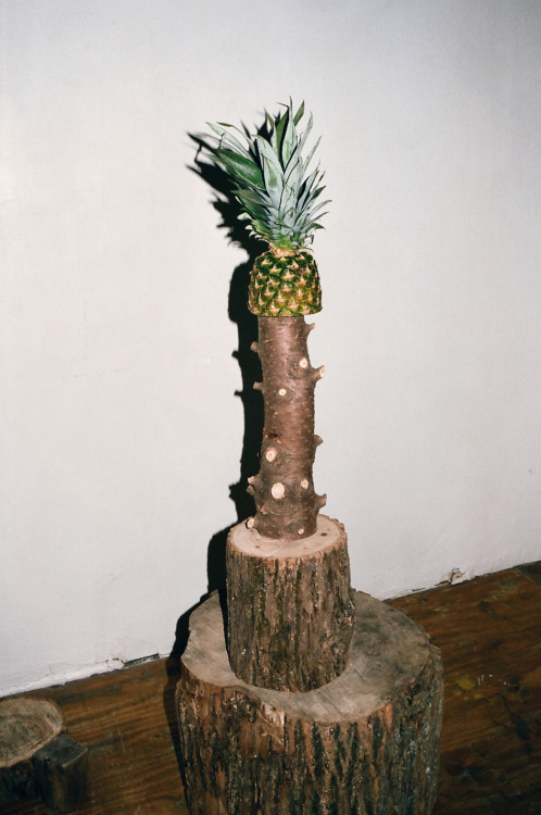 pineapple crown