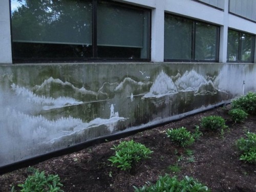 seraphica:  A growing trend in street art is ‘reverse graffiti’, creating art by removing debris and grime, rather than adding paint. Some artists will remove the grime directly for the pattern, while others will tape off some of the grime and power