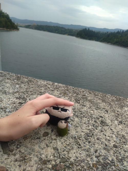 Wesker And Chris (Yeah, It's My First Thing From Wool And Needle Felting) Are On Vacation!