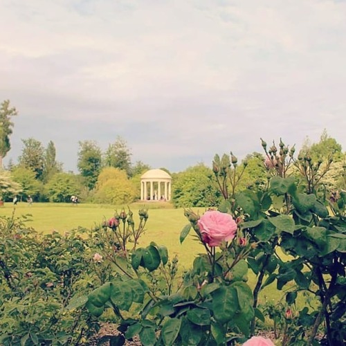 Happy spring Sunday to anyone! #spring #flowers #petittrianon #chateaudeversailles #versailles #mari