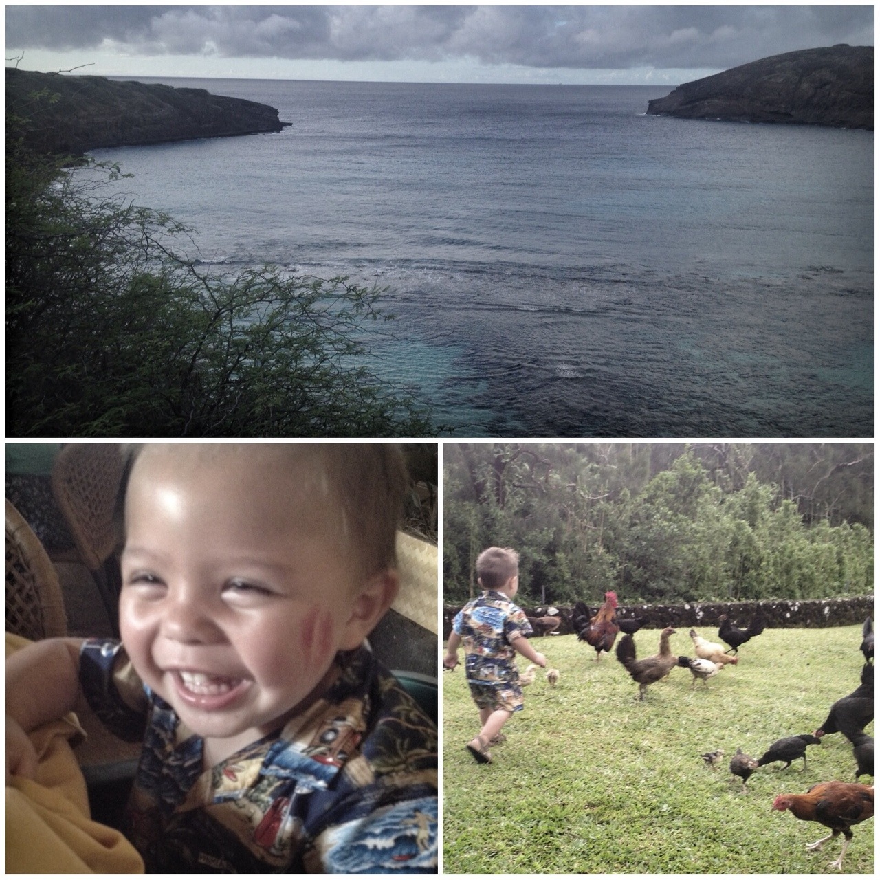 This boy had a little too much fun with the hula dancers last night, and he has a new obsession with the bird kind. And snorkeling was so awesome this morning, it is by far one of my favorite parts of this vacation!