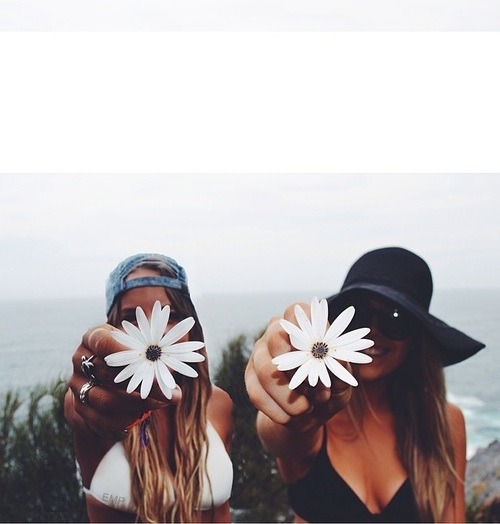 silly-luv:  ♡ find your best posts on my blog ♡