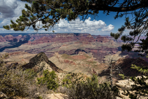 “Grand Canyon South Rim V”- as seen from Desert View Drive (#64)