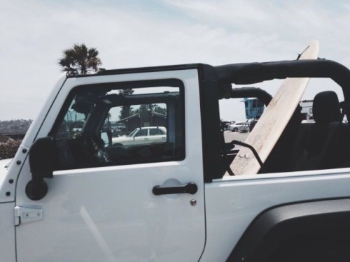 livingyoungwildfree: ENDLESS SUMMER