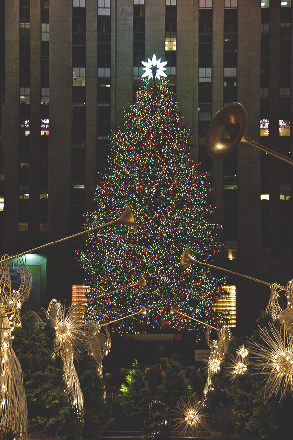 visualechoess:  The Christmas tree at the rock… by: Tasayu Tasnaphun