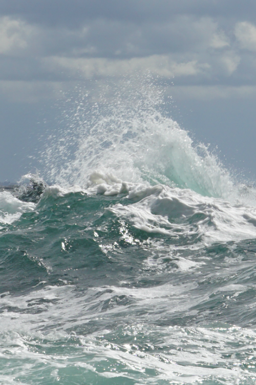 tulipnight: Rough Sea by Patrik Rosenfeld