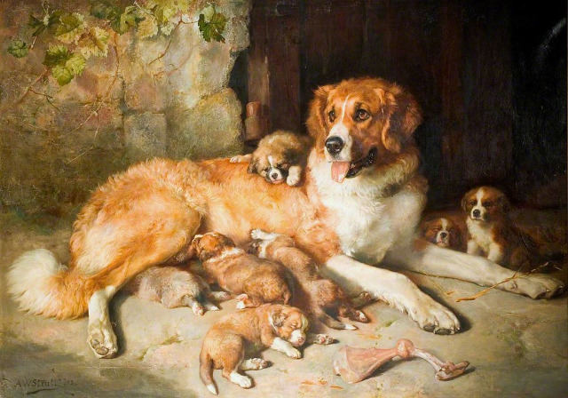 Porn Pics antiqueanimals:Mater Familias. Alfred William