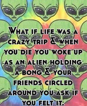 It's always 4:20