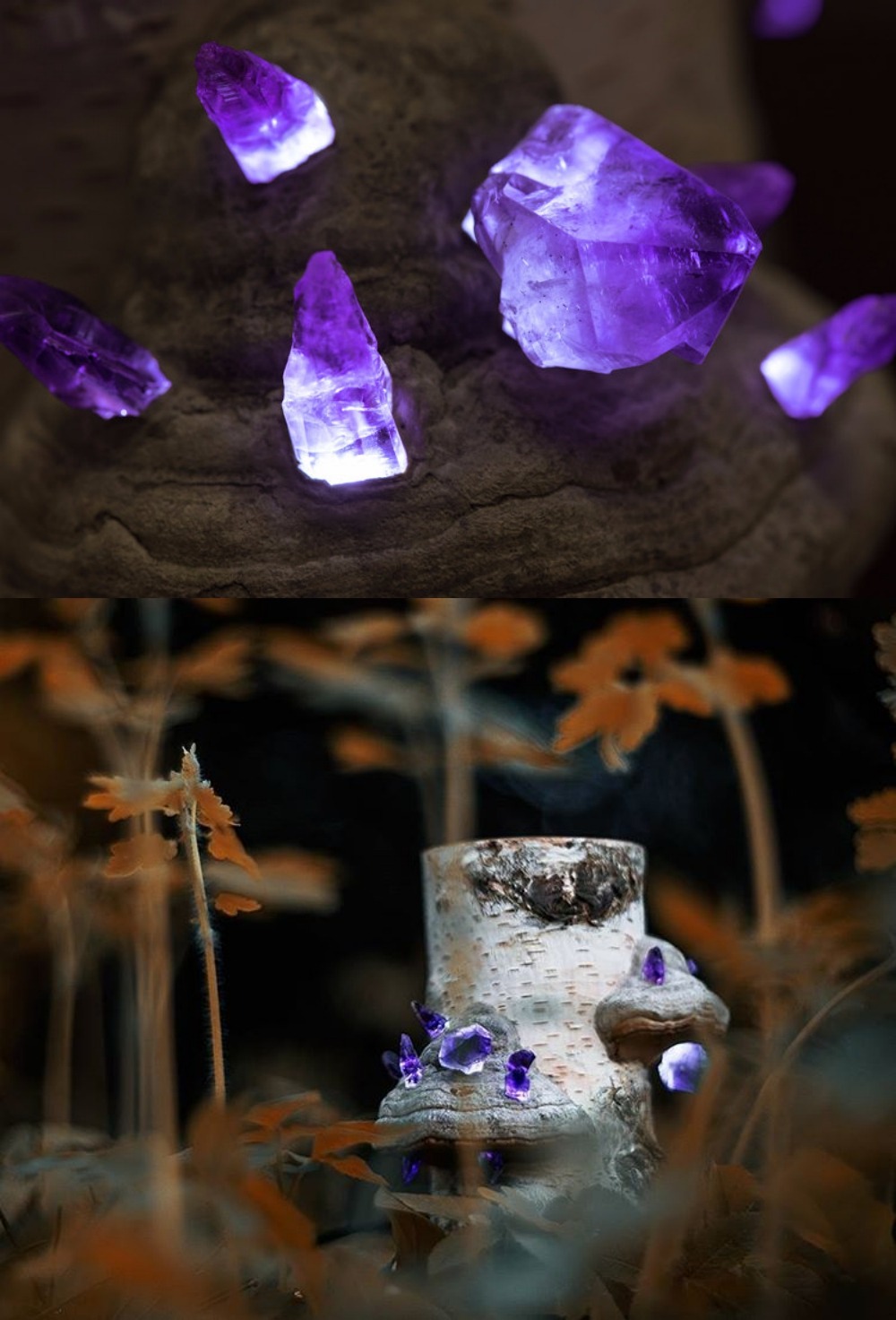 sosuperawesome: Never before documented, discovered in wild northern forests these