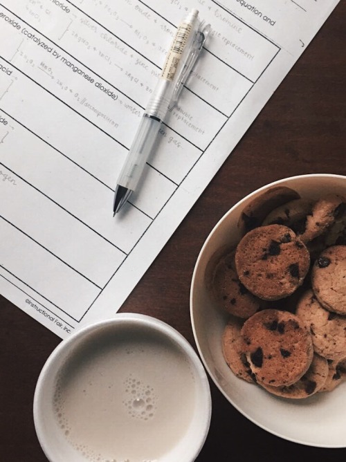 miepeachy:02.12.17 // visited MUJI and reviewed stuff for chem!! wouldn’t recommend the cookie