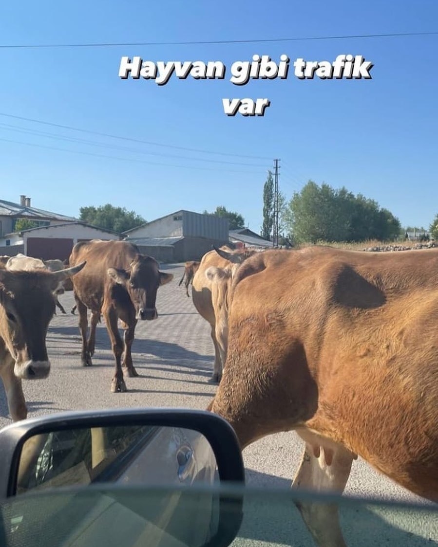 Yeterli bir şakaydı....