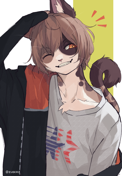 Renko Doodles!