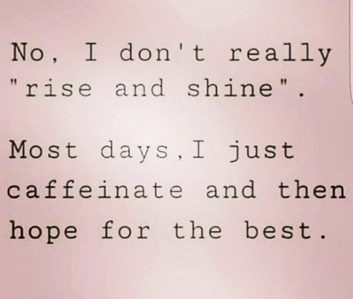 gingersnaplips:  mayhawk561:  scarkellie:  Ugh 😴☕️  Off to do my best with a cup of java in my hand.   Yeah this about sums it up 😂 good morning Tumblr 🔥❤️🔥