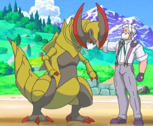 multiscales:  Opelucid Gym Leader and Dragon Master, Drayden 