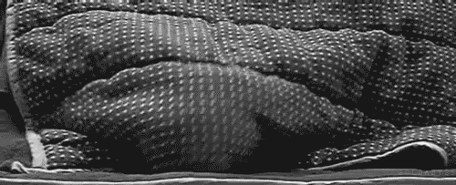 I've Got Three Different Body Pillows And A Weighted Blanket. Sometimes I'll Sandwich Myself Between