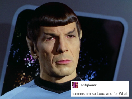 lieutenant-sapphic:spock + text posts