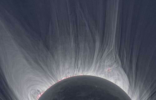 the-wolf-and-moon: Details of a Solar Eclipse Corona