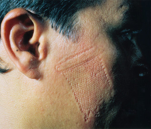 raveneuse: Berni Searle, 2002