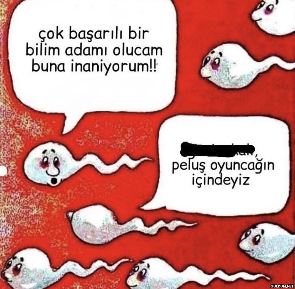 çok başarılı bir bilim...