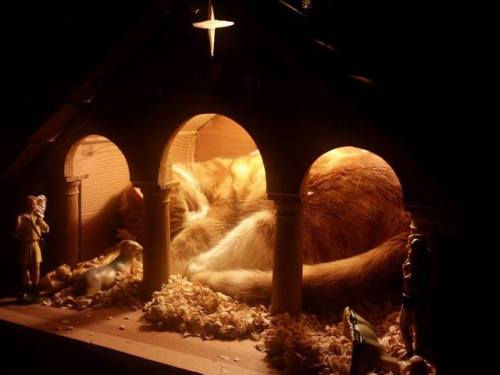 boredpanda:20+ Times Cats Hilariously Crashed Nativity Scenes