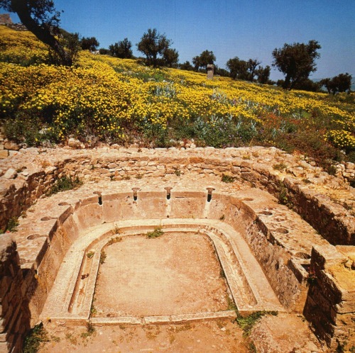 aswiftfooted: Public latrine in Dougga/Thugga, an ancient Roman city in northern Tunisia.