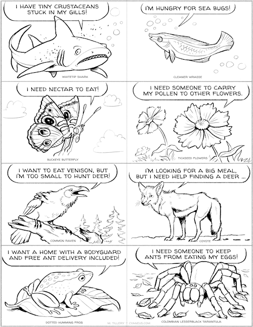 draconym:Mutualistic pairs for an “Odd Couples” Valentine’s program at my work. (Why do so many of m