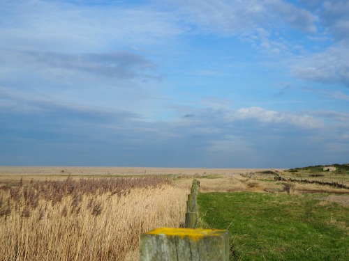 Salthouse, North NorfolkFebruary 2022