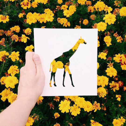taichi-kungfu-online:  Art is from life! 