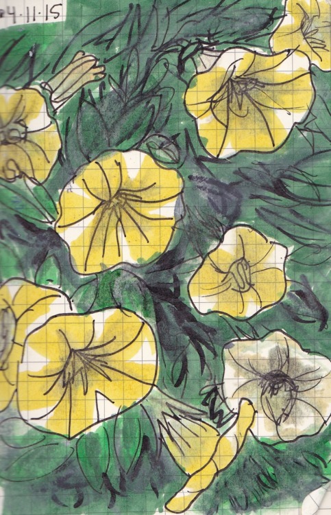 fleurghost: drew some yellow flowers bc yellow flowers are happy