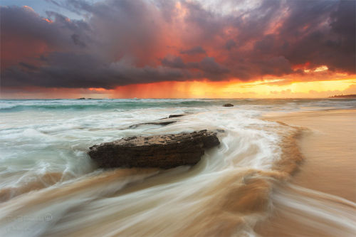 aberrantbeauty:  Eric E Fernandez 
