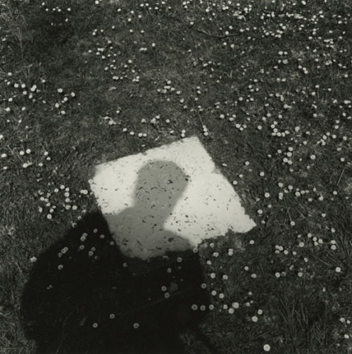 inneroptics:  Kenneth Josephson  