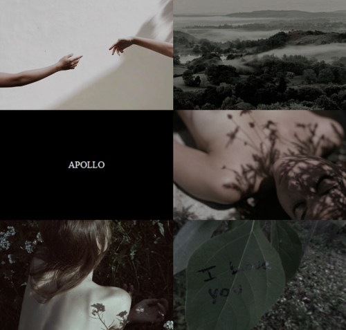 Mythology Aesthetics → Apollo &amp; DaphneDaphne is a minor figure in Greek mythology known as a nai