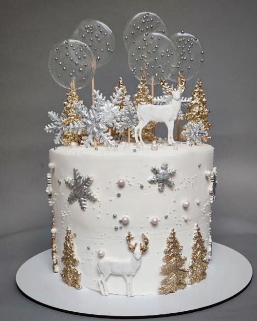 Winter Cake by Baran Javid Homemade Cakes