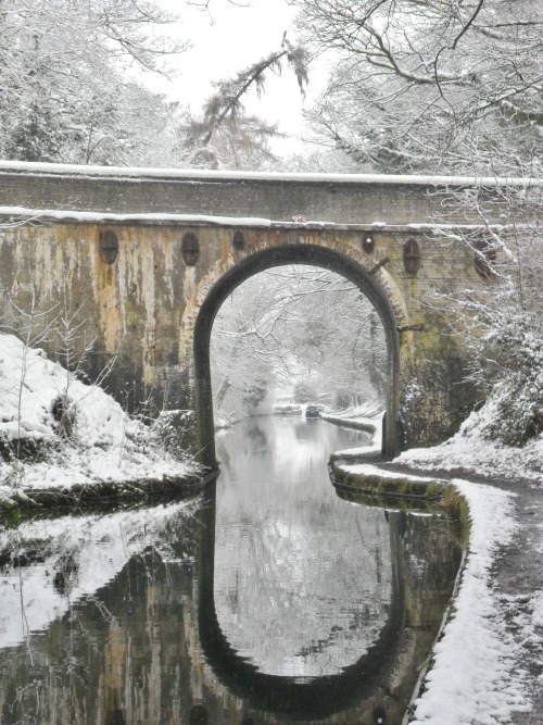 lensblr-network:  Canal Bridge in the snow, Brewood, Staffordshire, England. A photo from each month of 2013 - January All Original Photography by vwcampervan-aldridge by vwcampervan-aldridge.tumblr.com 