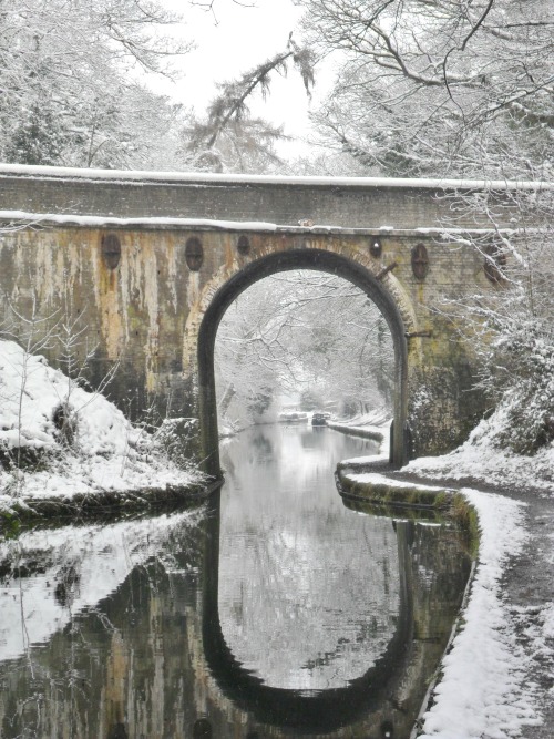 vwcampervan-aldridge: Snow covered bridge over the Shropshire Union Canal, Brewood, Staffordshire, England All Original Photography by http://vwcampervan-aldridge.tumblr.com  