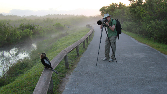 Wildlife photography in city parks: A how-to guide
You don’t have to drive miles away from civilization to get amazing shots of wildlife. City parks offer a perfect opportunity to hone your camera skills and capture award-winning images.