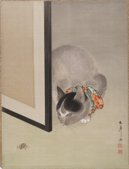 met-asian: 猫に蜘蛛図|Cat Watching a Spider by Ōide Tōkō, Asian ArtMedium: Album leaf; ink and color on s
