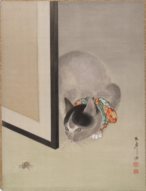 fujiwara57:redlipstickresurrected:Ōide Tōkō (Japanese, 1841–1905, Japan) - 猫に蜘蛛図 (Cat Watching a Spi