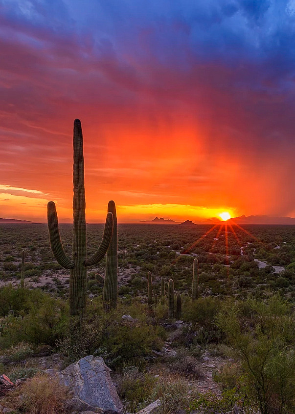 coiour-my-world: The Unexpected ~ by Danilo Faria