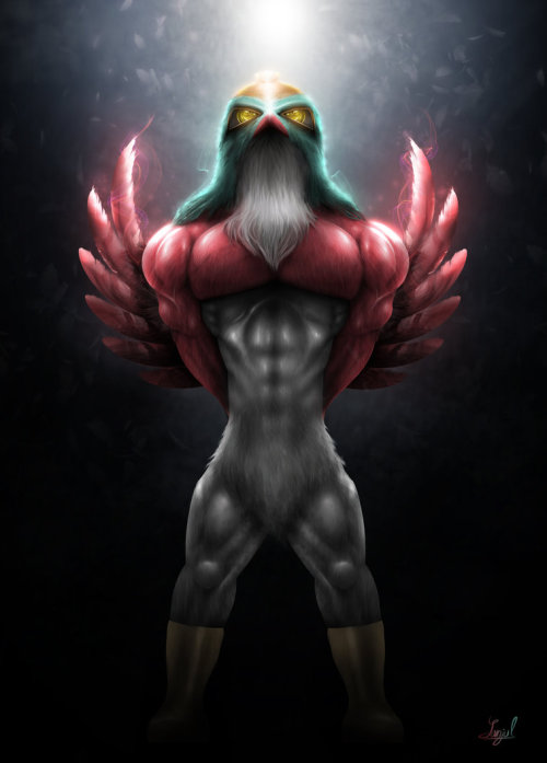 Hawlucha; source