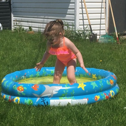 Very into her new pool! #dievann #hotday #swimming #playallday
