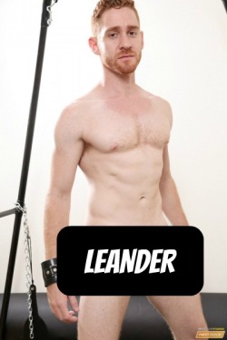 LEANDER at NextDoorStudios  CLICK THIS TEXT to see the NSFW original.