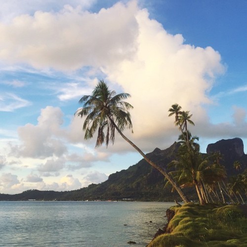 hottiesgram:  Postcards from Bora Bora #goodmorning #rockytakestahiti #borabora #sonicetheynamedittw