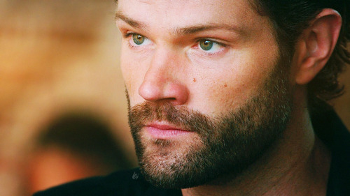 lemondropsonice: Walker Advent Calendar 2021 • Day Twelve - Dec 12th Wow his eyes are mesmerizi