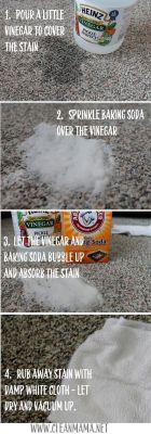 sweetestesthome:  Step by Step Carpet Stain
