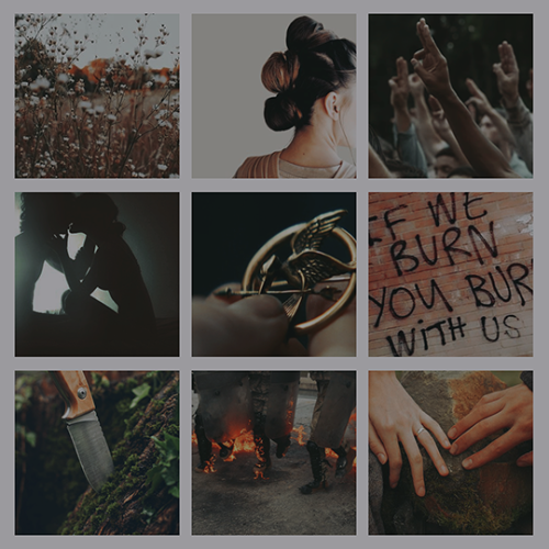 fanfiction aesthetics ; the spark by @kylorenaissance